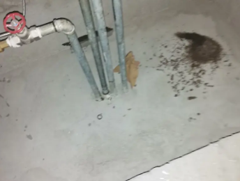 小店卫生间测漏水价格明细